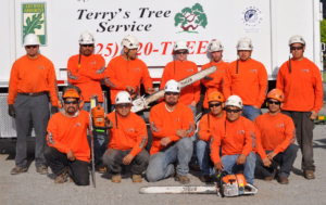 Group photo of a tree service team in bright orange shirts and helmets.